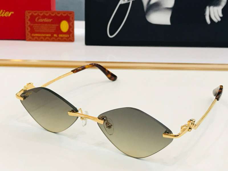 Picture of Cartier Sunglasses _SKUfw55118332fw